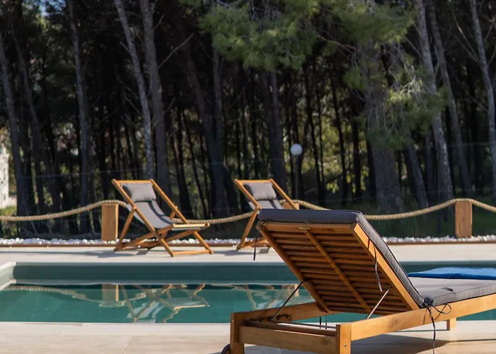 The Forest * İstanköy