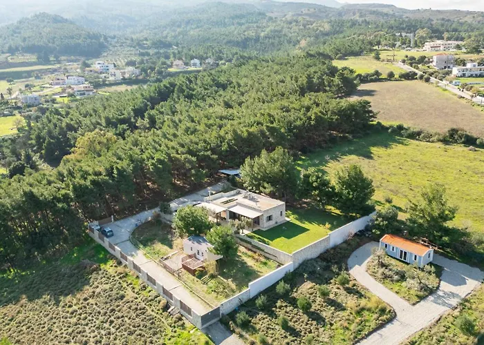 The Forest * İstanköy