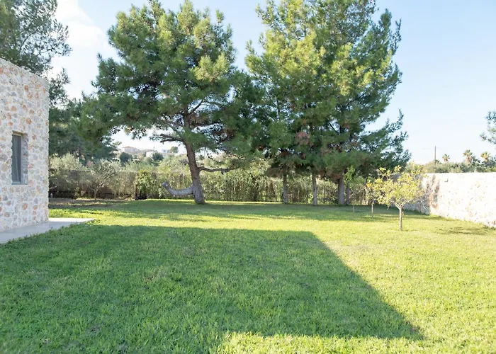 The Forest İstanköy