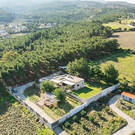 The Forest * Κως Πόλη