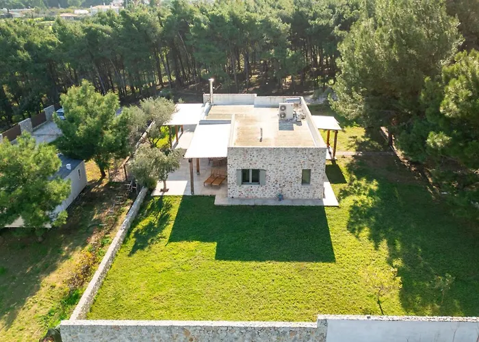 The Forest * Κως Πόλη