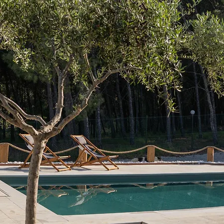 Вилла The Forest