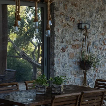 The Forest