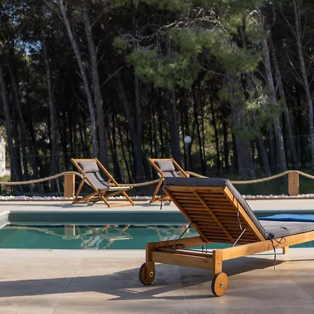 The Forest * Miasto Kos