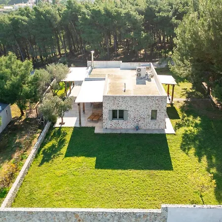 The Forest * Miasto Kos