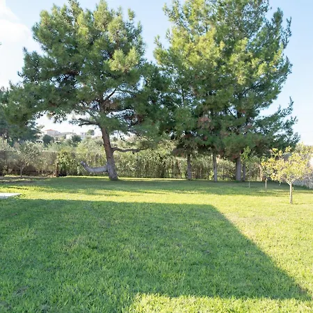 The Forest Miasto Kos